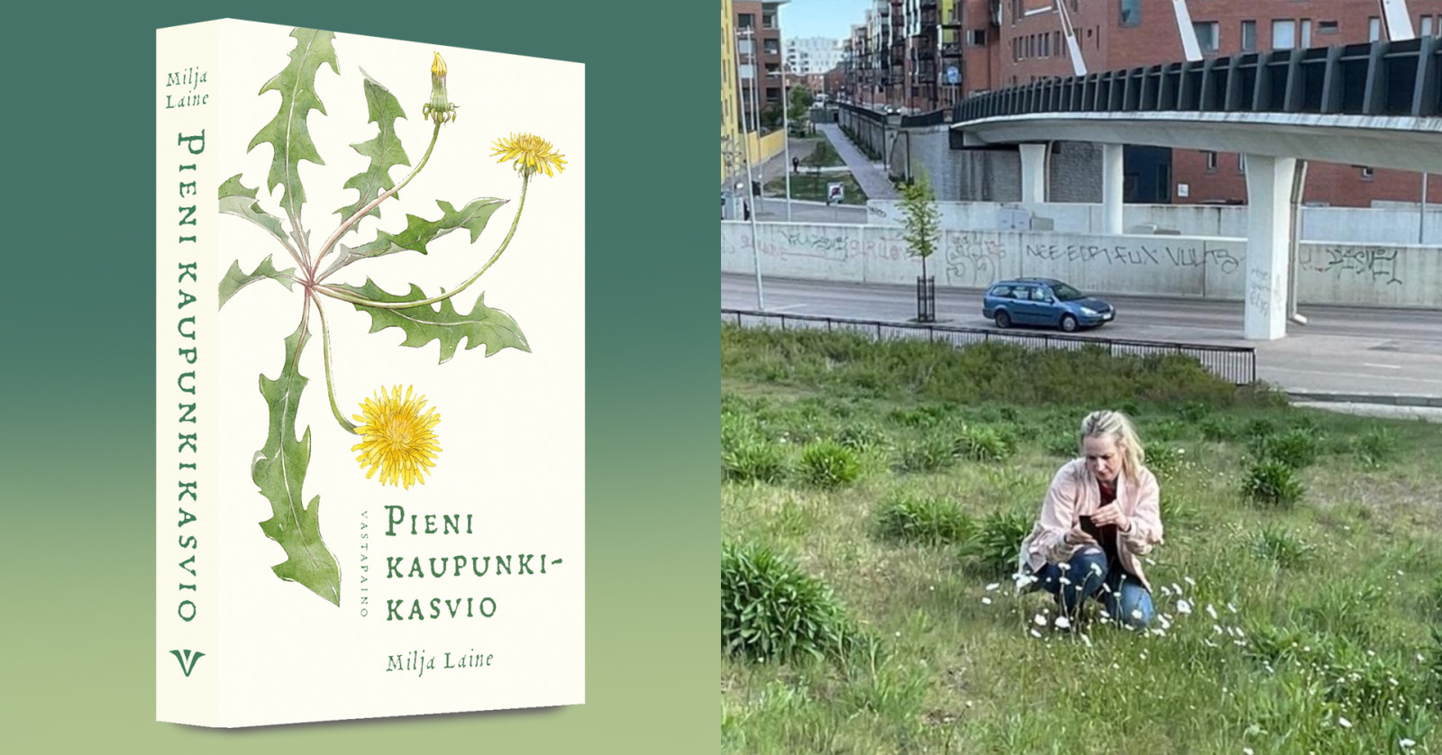 Minä, Paavo ja Saparomäki