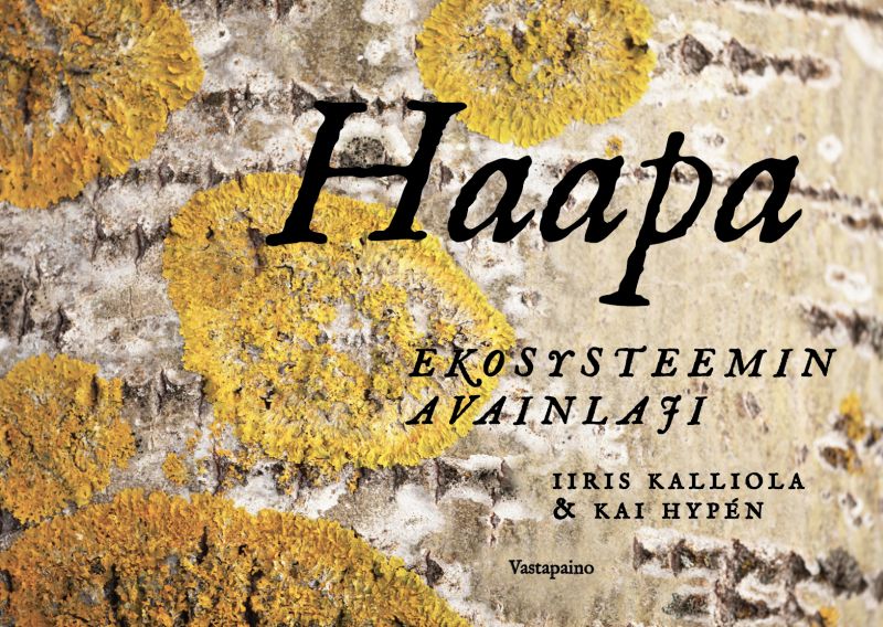 Haapa Runko Haapa | Vastapaino